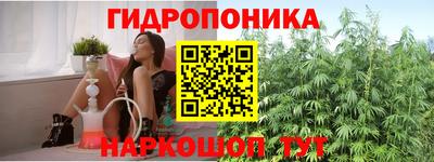 дурь Камышлов