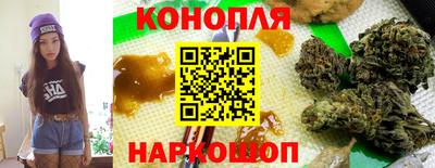 дурь Камышлов